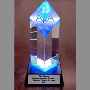 history-2001-APM-award