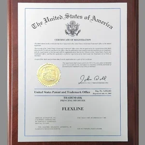history-2009-flexline